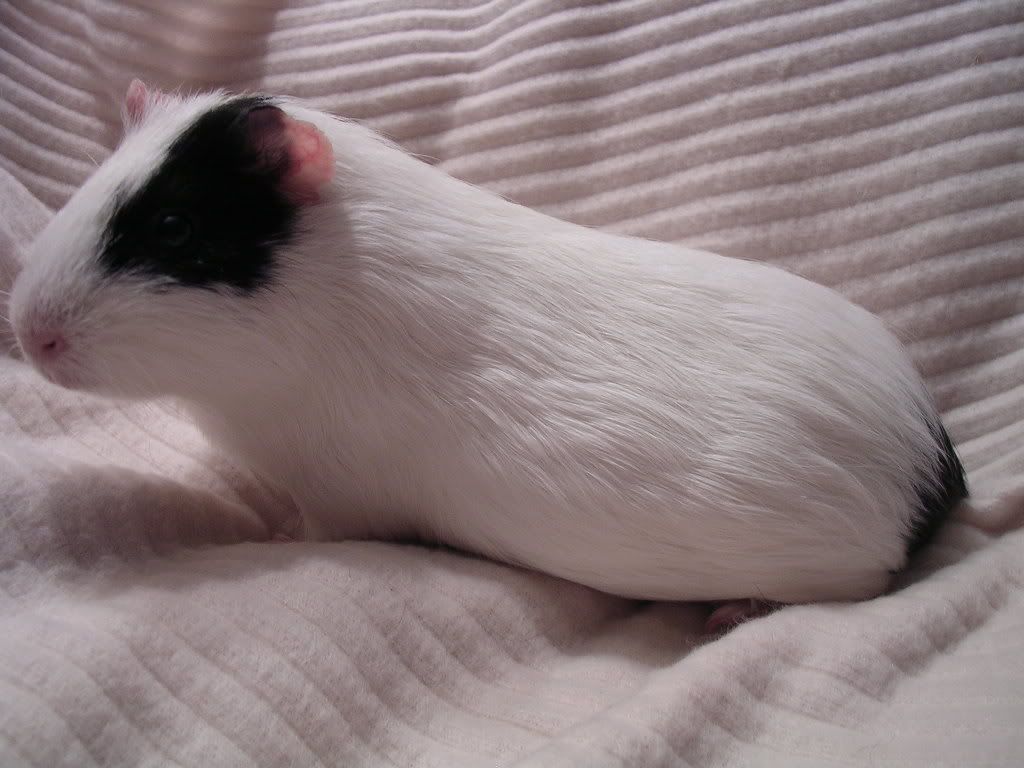 DSCN5679.jpg