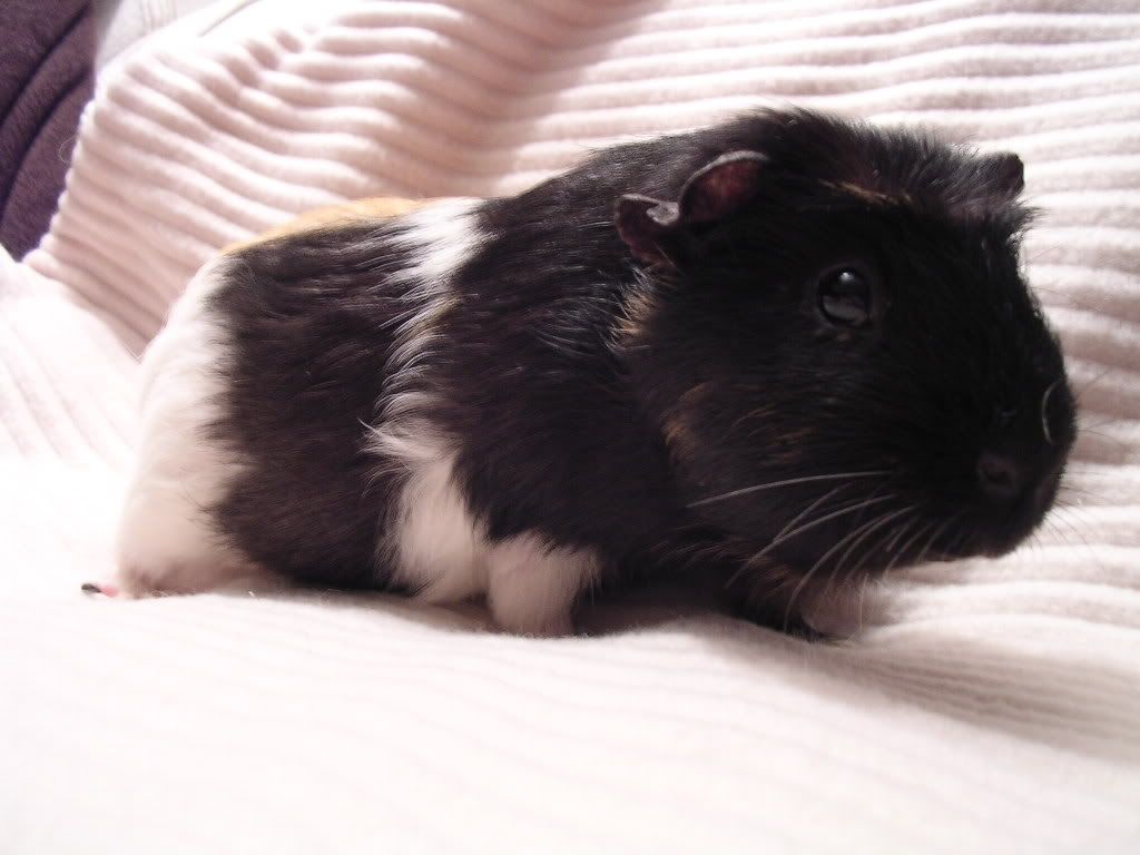 DSCN5690.jpg