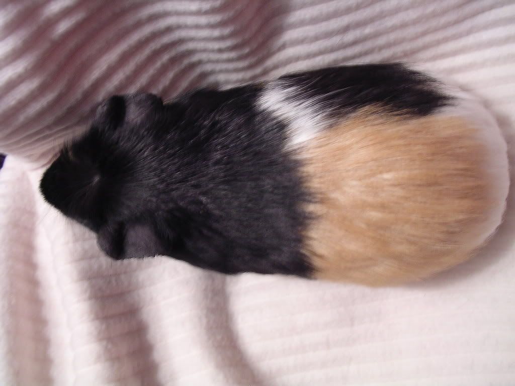 DSCN5697.jpg
