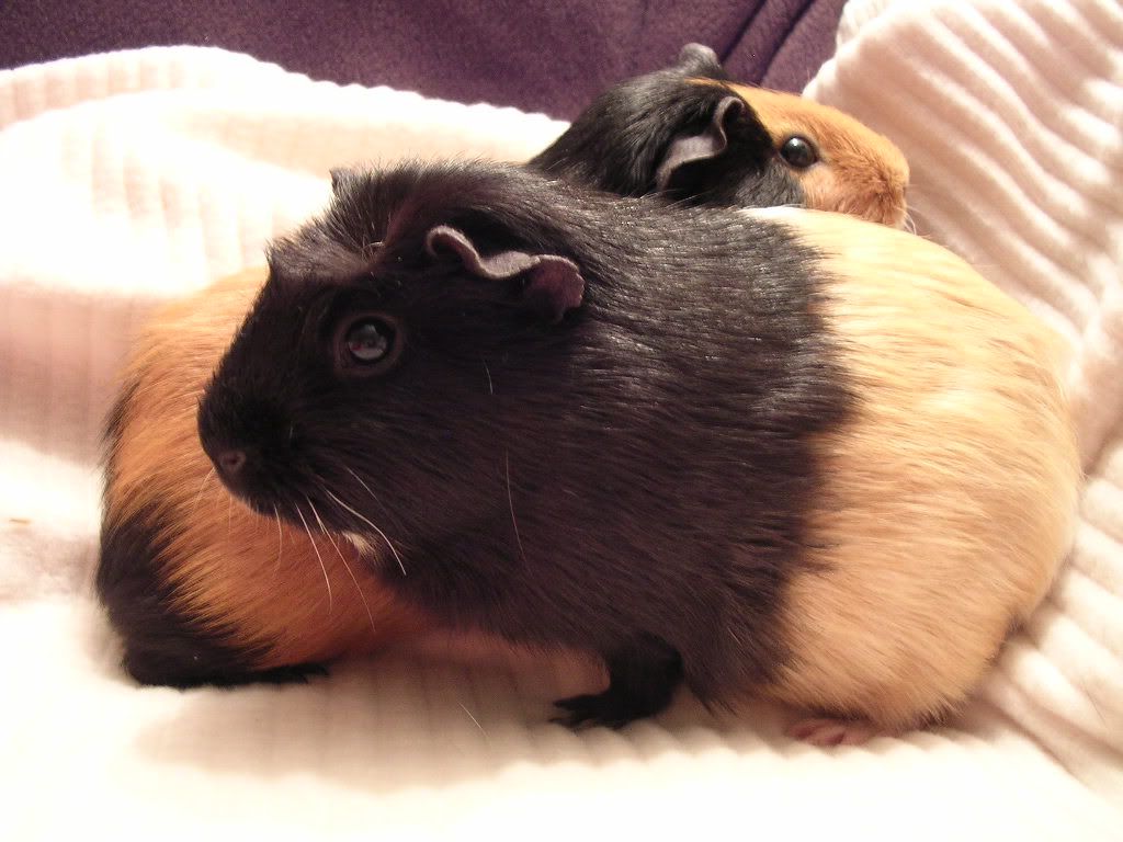 DSCN5708.jpg