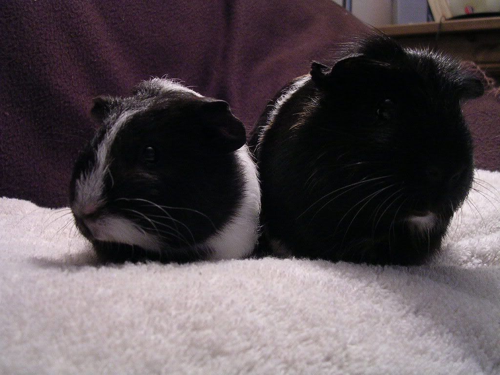 DSCN5723.jpg
