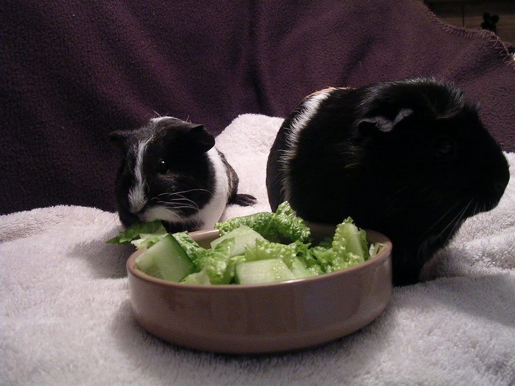 DSCN5725.jpg