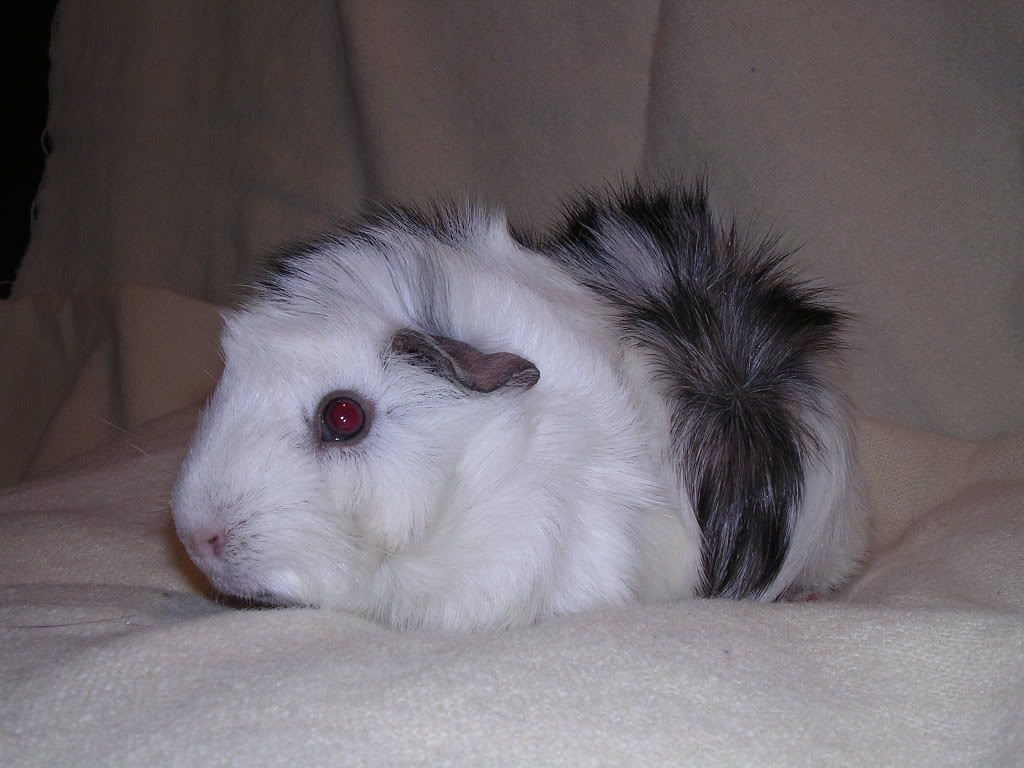 DSCN5861.jpg
