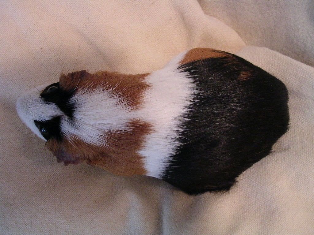 DSCN5865.jpg