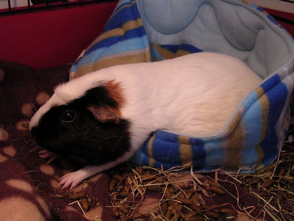 DSCN5872.jpg