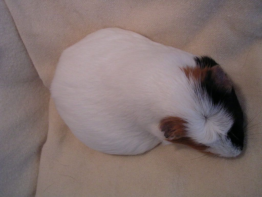DSCN5874.jpg