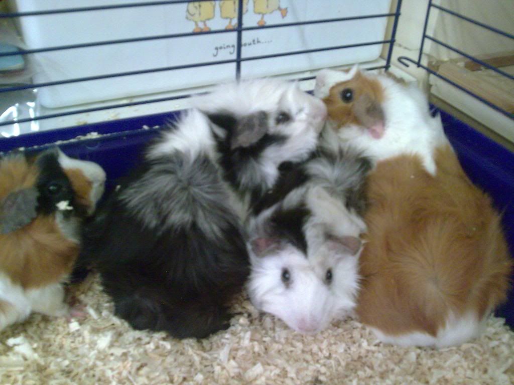 Image043.jpg