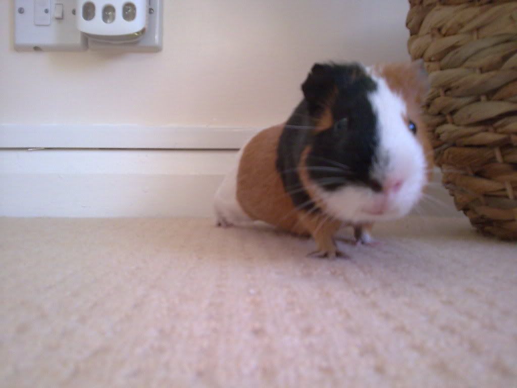 Image066.jpg
