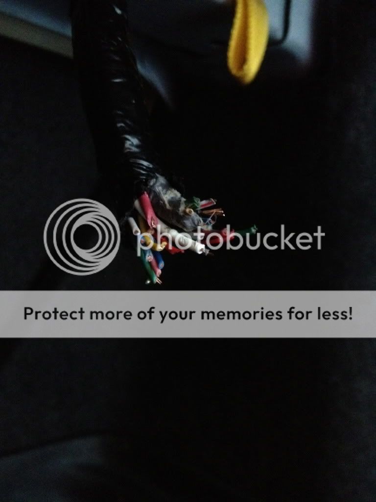 WTB: TSX wiring - AcuraZine - Acura Enthusiast Community