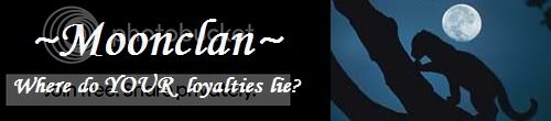 Moon clan (warrior cats RP) banner