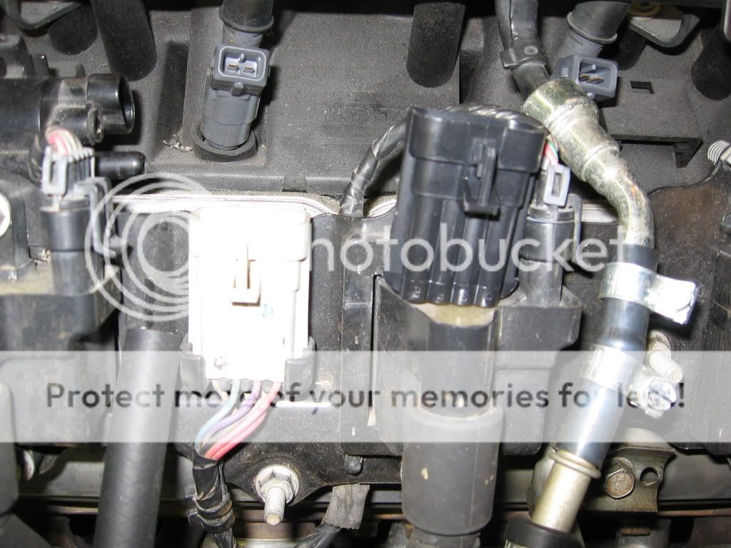Finished engine bay wiring 6.0l - Third Generation F-Body Message Boards