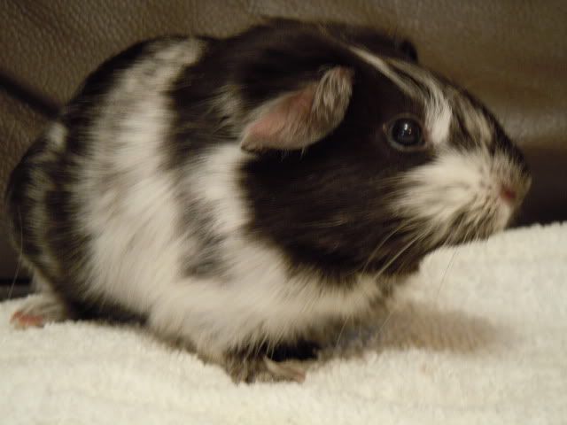 DSCN0085.jpg