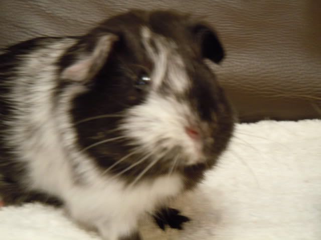 DSCN0087.jpg
