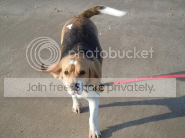 DSCN0734.jpg
