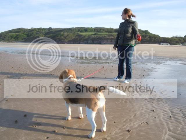 DSCN0736.jpg