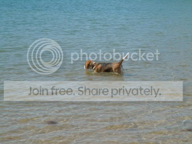 DSCN0760.jpg