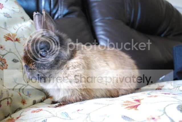 DSC_0004.jpg