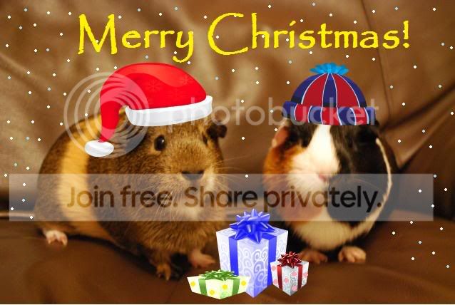 PWXmas.jpg