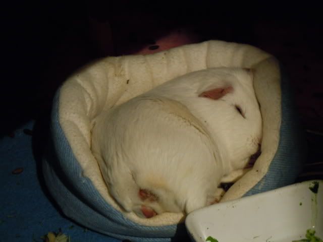 DSCN0227.jpg