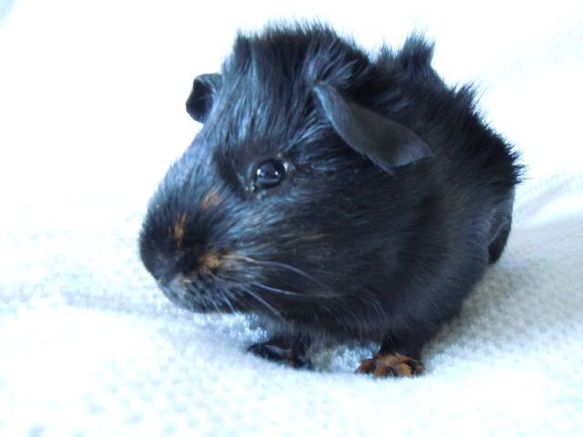 DSCN0229.jpg