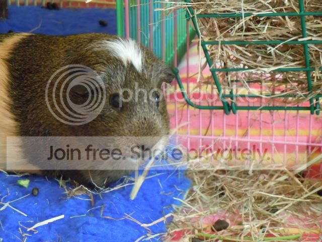 DSCN0667.jpg