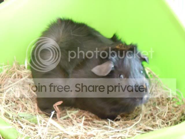 DSCN0670.jpg
