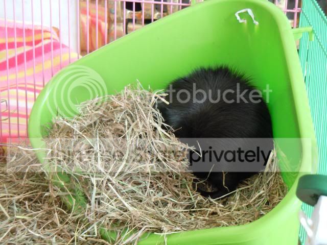 DSCN0692.jpg