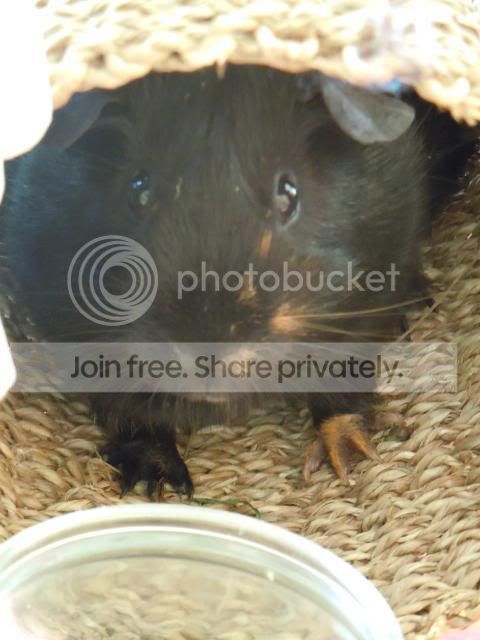 DSCN0700.jpg
