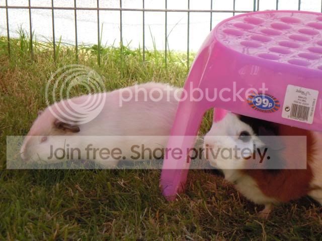 DSCN0893.jpg