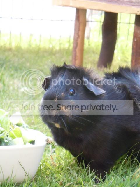 DSCN0914.jpg