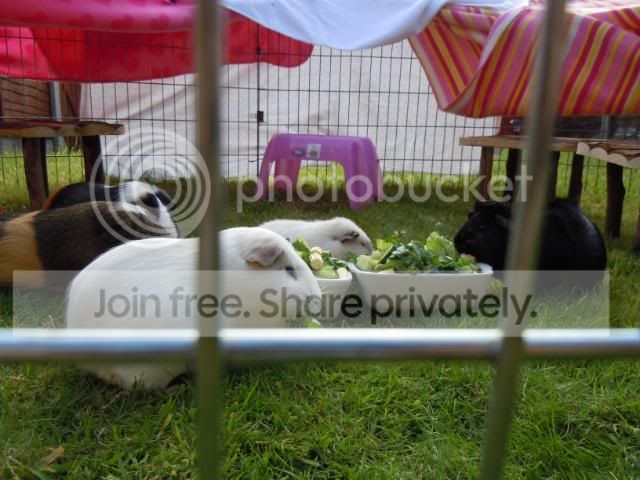 DSCN0916.jpg