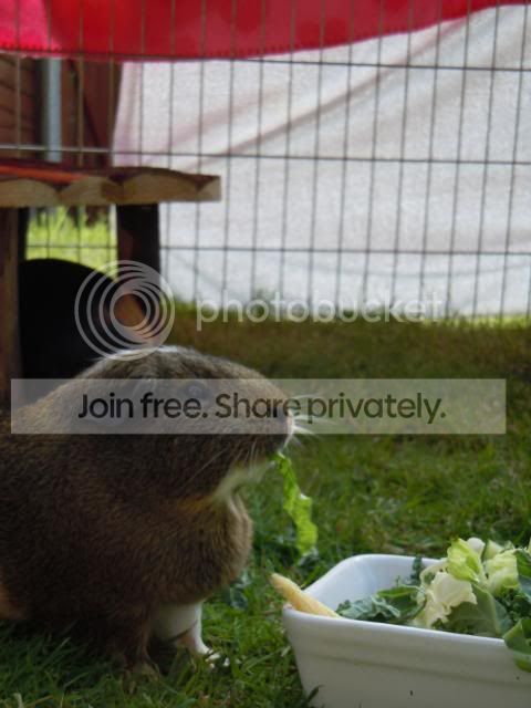 DSCN0918.jpg