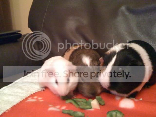 IMG_0108.jpg