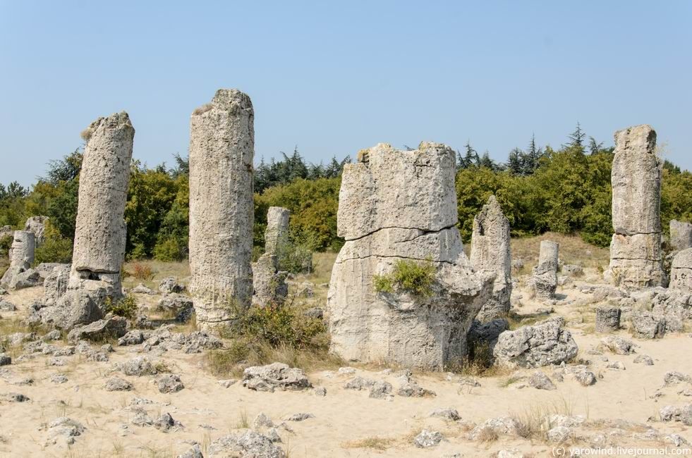 photo DSC_5449_zpsnaqhhek6.jpg