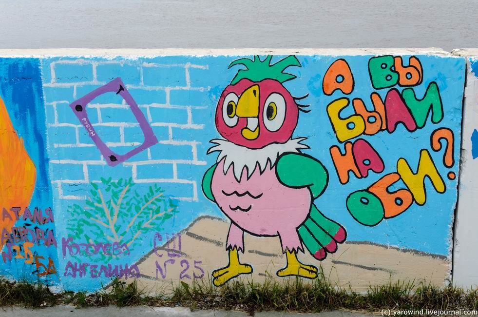 photo DSC_6565_zpsts8ntph6.jpg