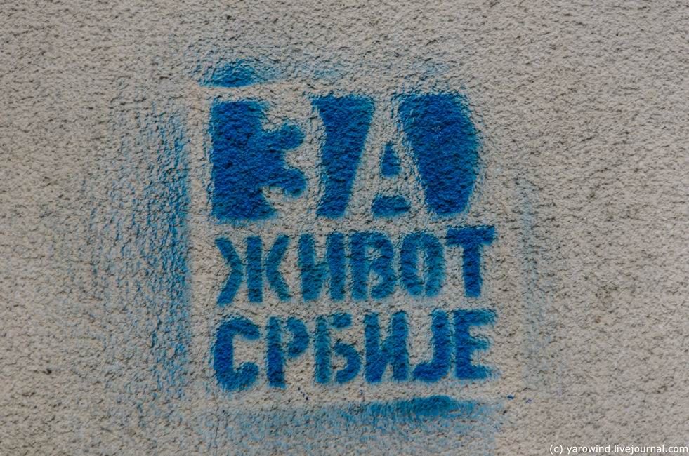 photo DSC_7832_zpsuaoyqi8r.jpg