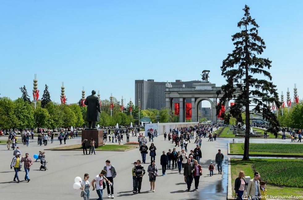 photo DSC_8962_zpsbtckxiki.jpg