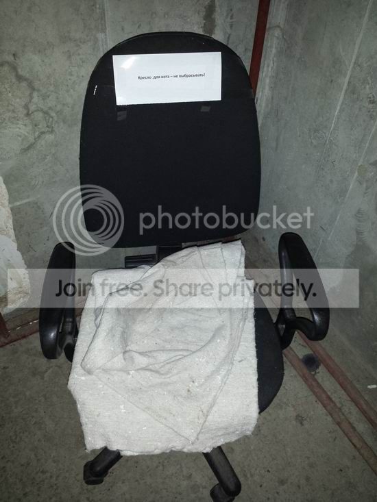  photo 20131209_175414_zps29a6a30e.jpg