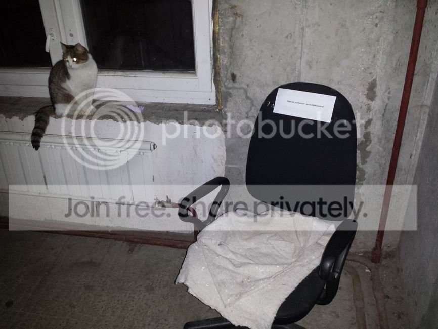  photo 20131209_175455_zpsb8db0ca3.jpg