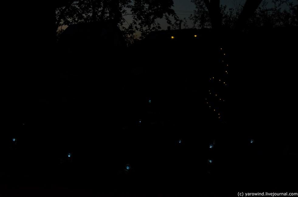 photo DSC_6545_zpsjopuw6me.jpg