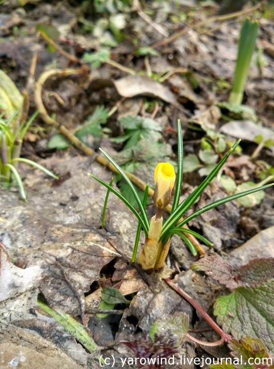 photo IMG_2017-03-25_110610_HDR_zpscg4lz64d.jpg