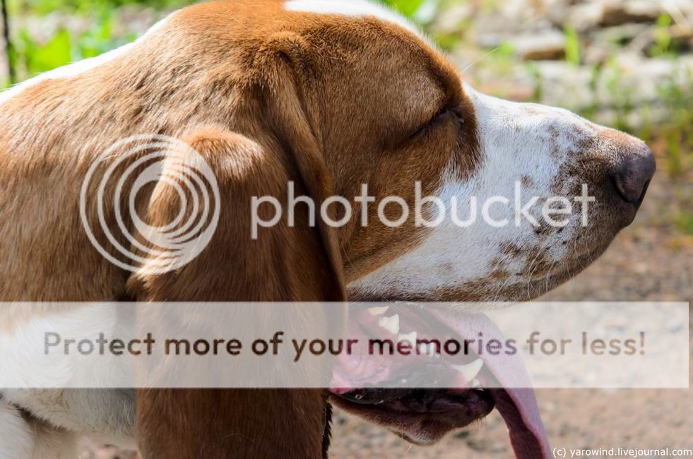  photo DSC_6512_zps3r2yenyz.jpg