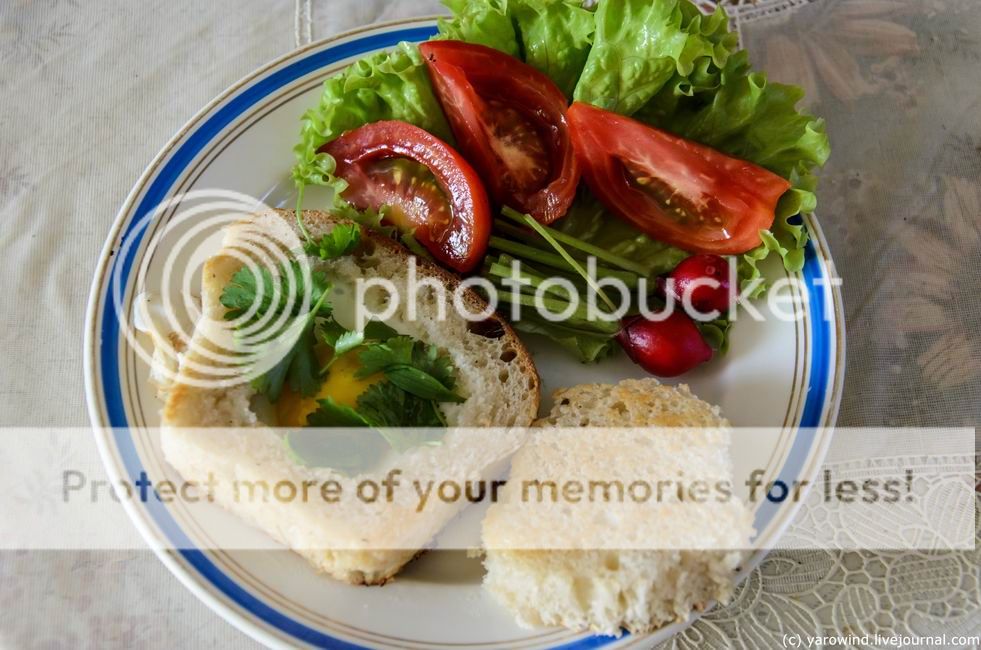  photo DSC_6400_zpsei6ixiqi.jpg