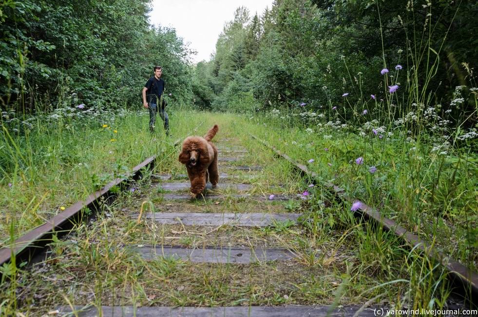 photo DSC_9882_zpsaey3nrjk.jpg